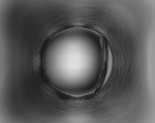 X0000088860731200706151735