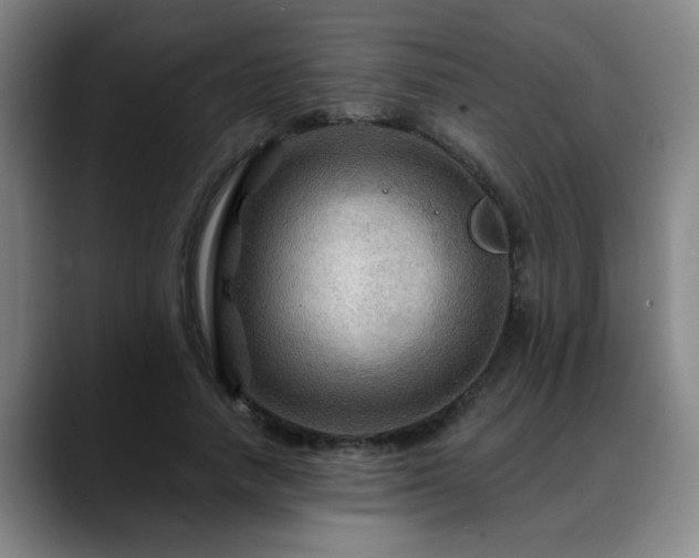 X0000088860738200706151735