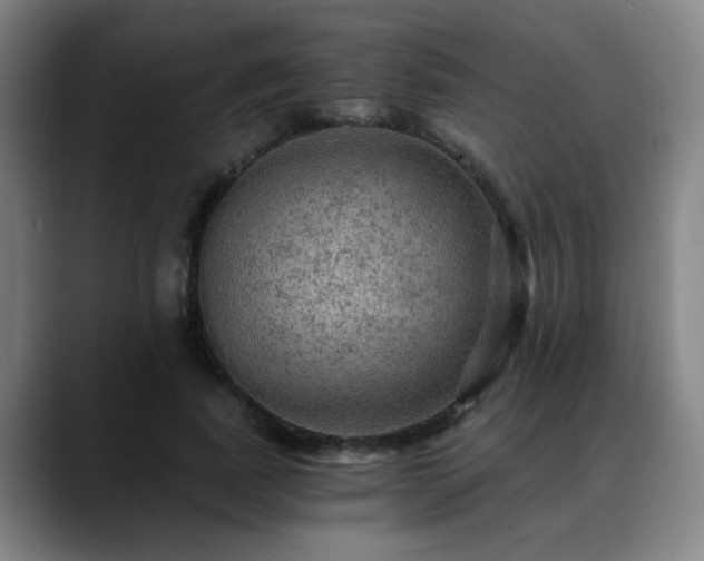X0000088860739200706151735