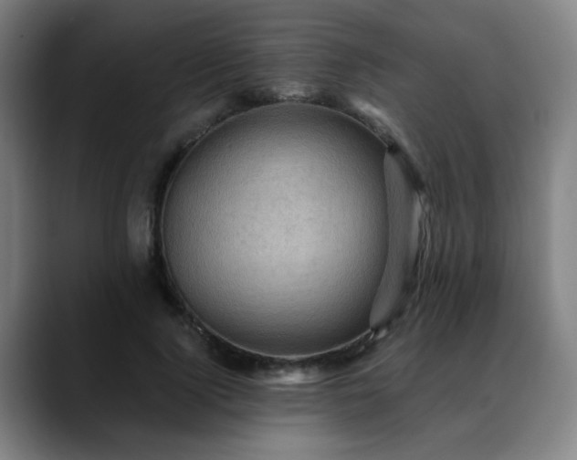 X0000088860740200706151735