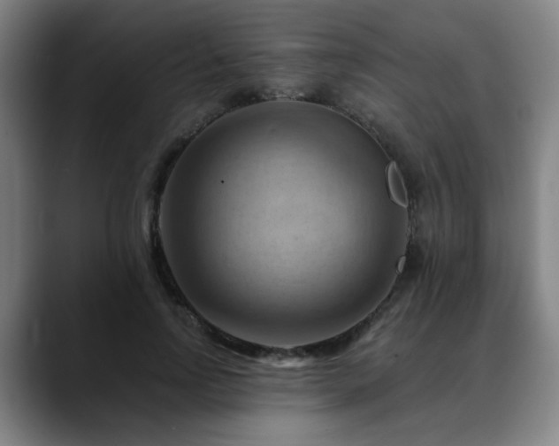 X0000088860742200706151735