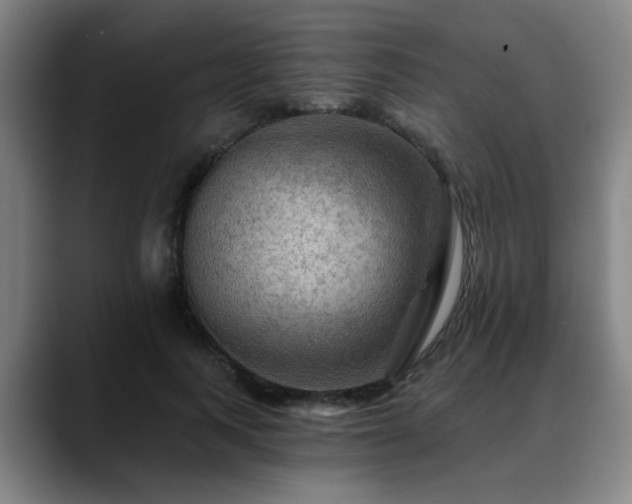 X0000088860743200706151735