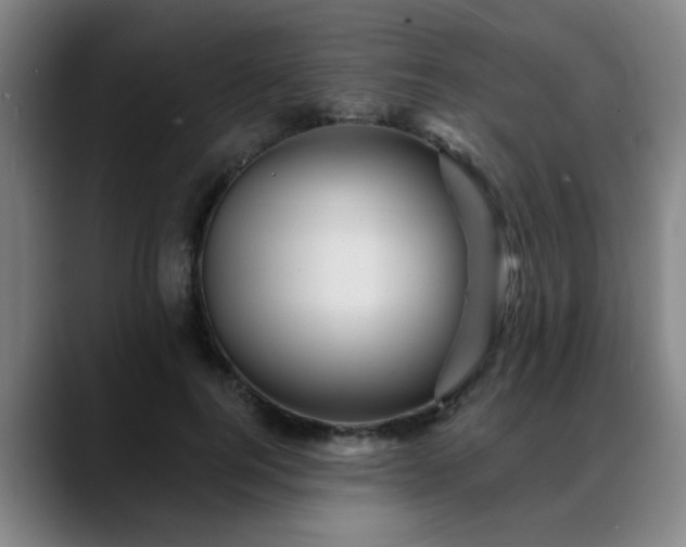X0000088860744200706151735
