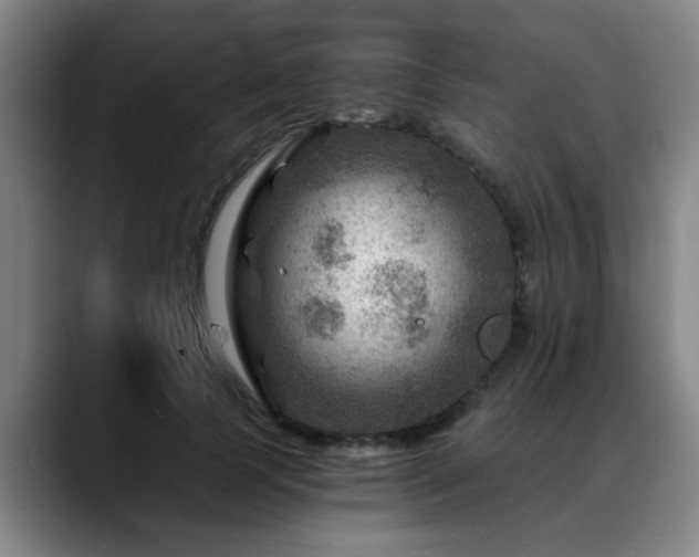 X0000088860745200706151735