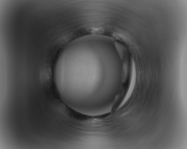 X0000088860748200706151735