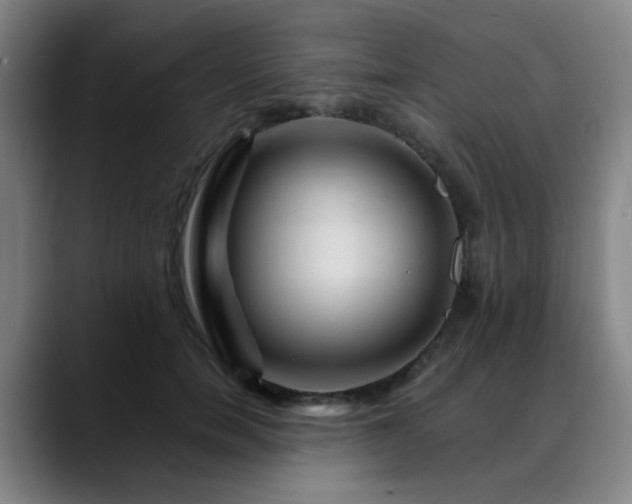 X0000088860750200706151735
