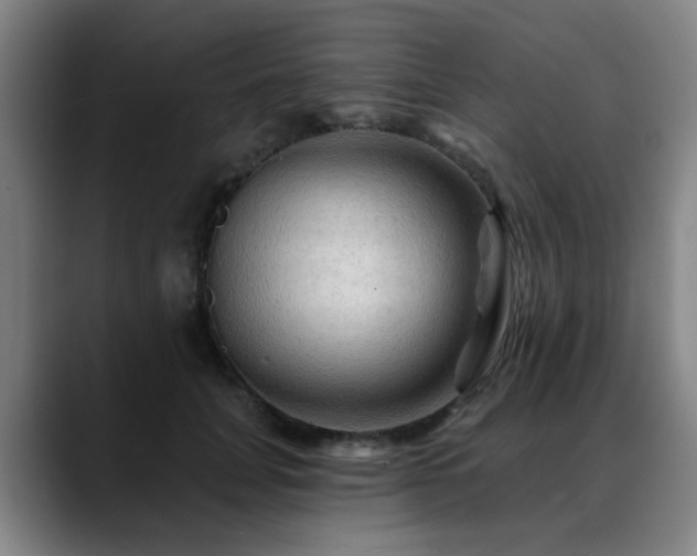 X0000088860751200706151735