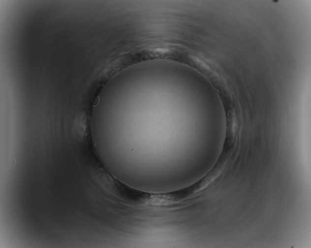 X0000088860758200706151735