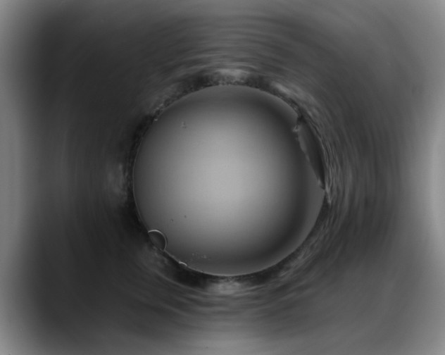 X0000088860759200706151735