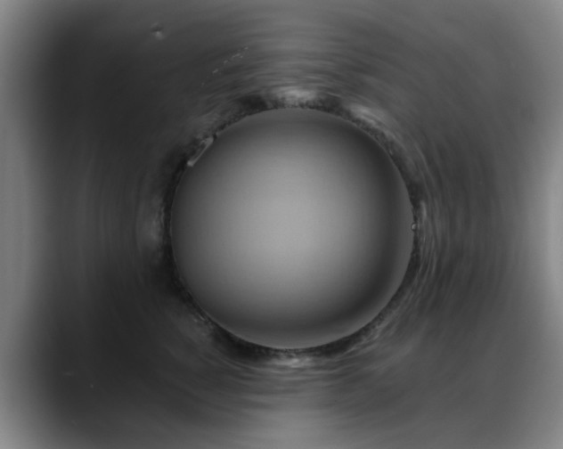 X0000088860760200706151735