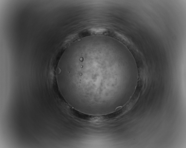 X0000088860761200706151735