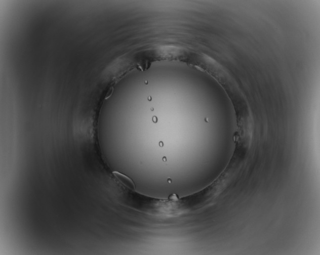 X0000088860762200706151735