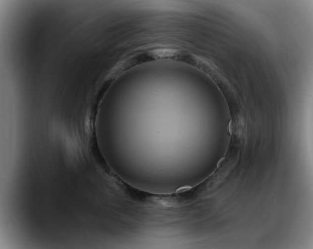 X0000088860763200706151735