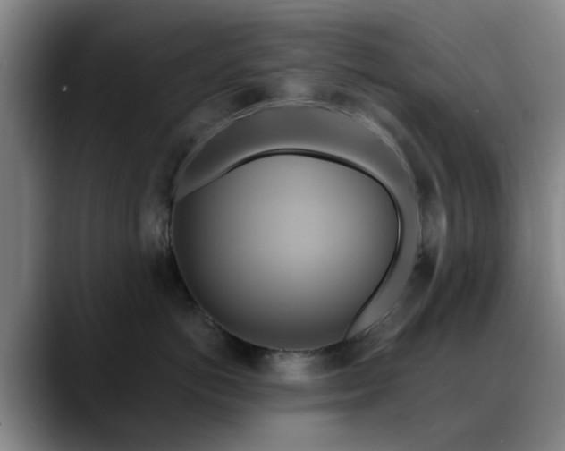 X0000088860766200706151735