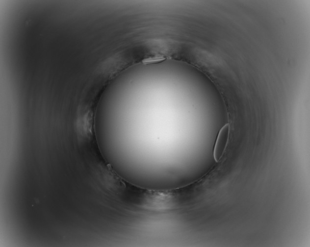 X0000088860768200706151735