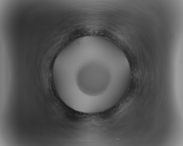 X0000088860769200706151735