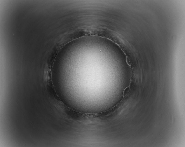 X0000088860770200706151735