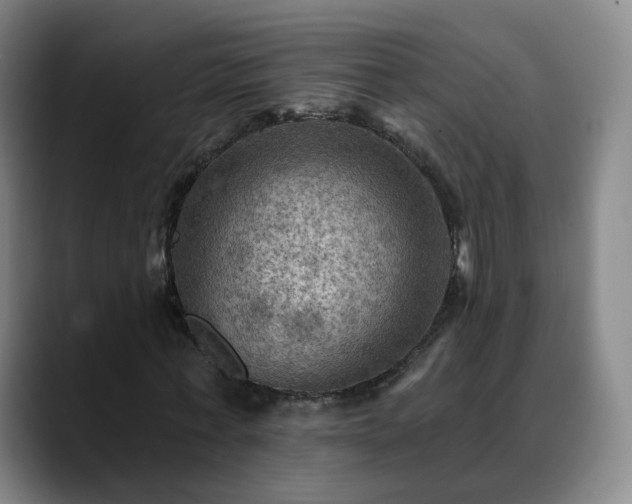 X0000088860771200706151735