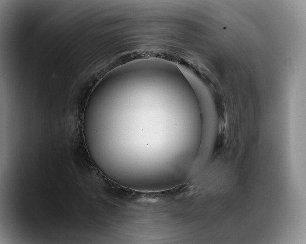 X0000088860773200706151735