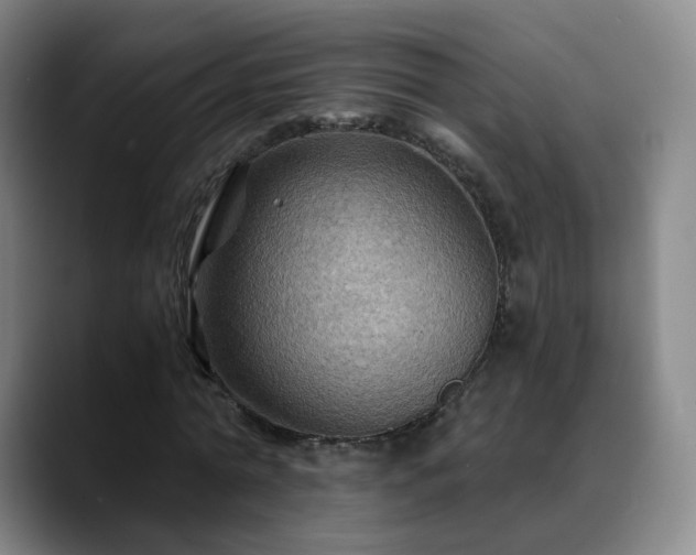 X0000088860774200706151735