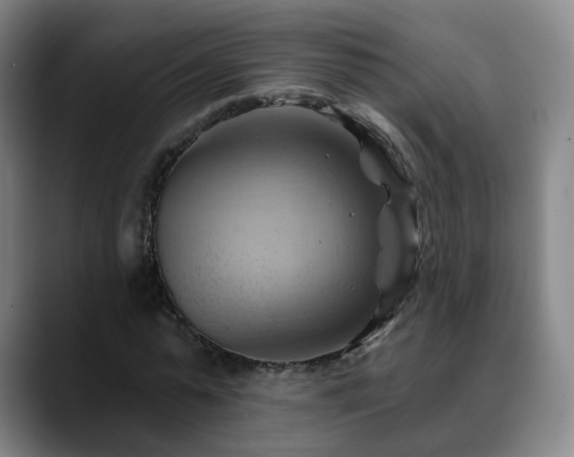 X0000088860775200706151735