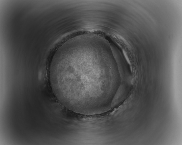 X0000088860776200706151735