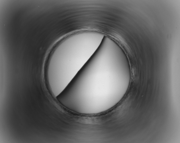 X0000088860780200706151735