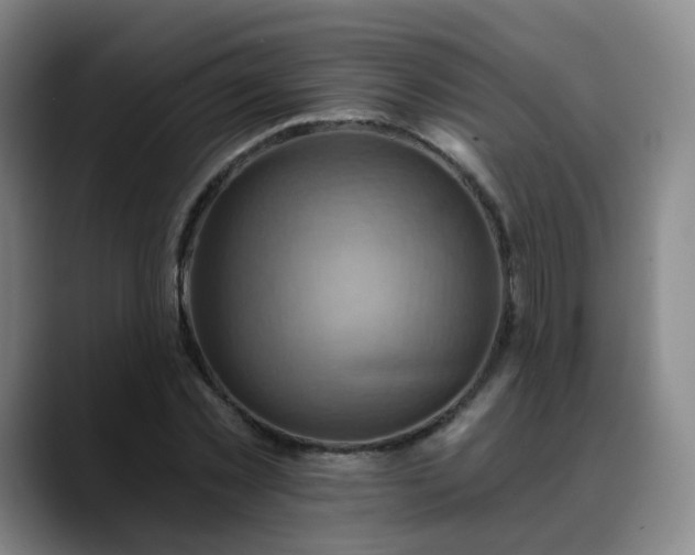 X0000088860781200706151735