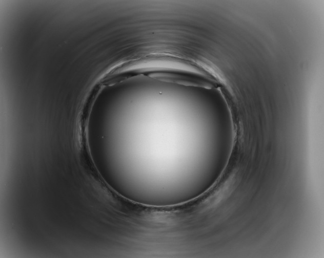 X0000088860782200706151735