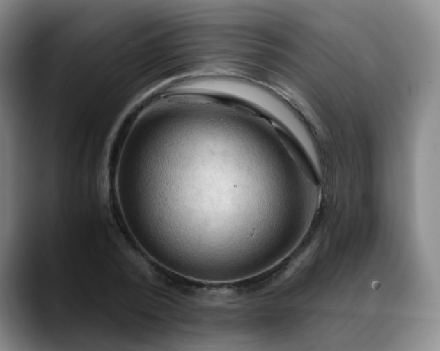 X0000088860784200706151735
