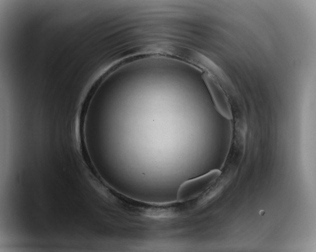 X0000088860788200706151735