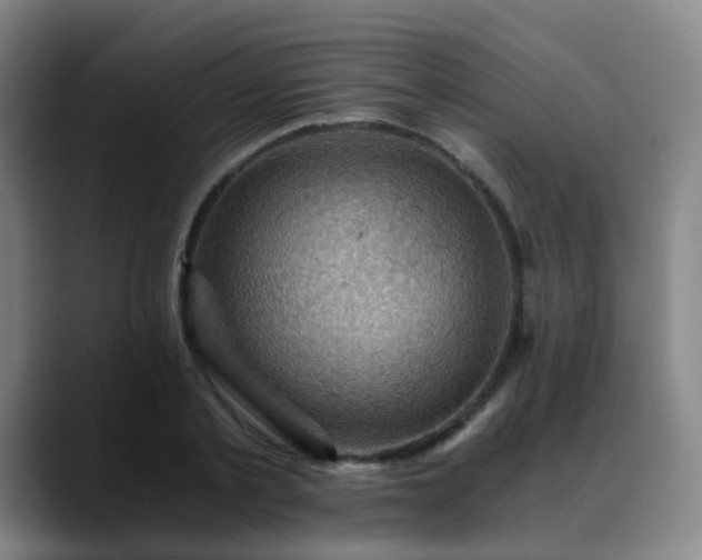 X0000088860789200706151735