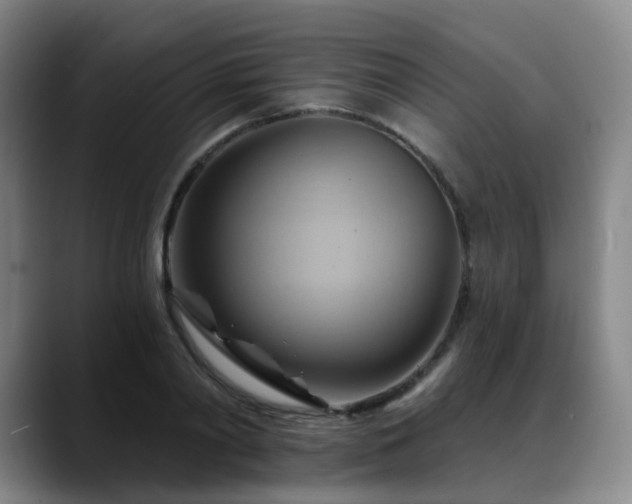 X0000088860790200706151735