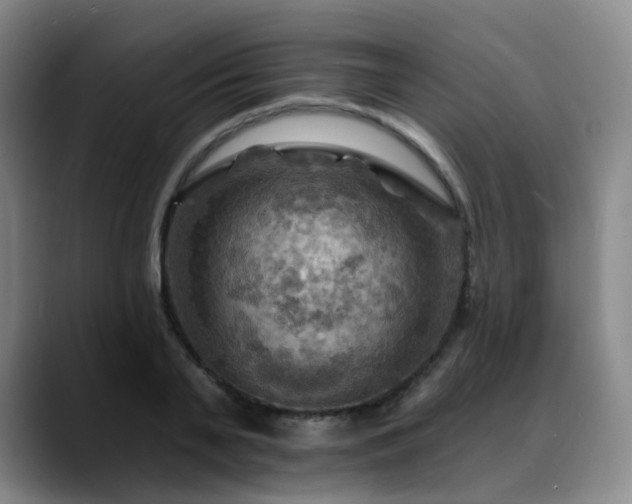 X0000088860791200706151735