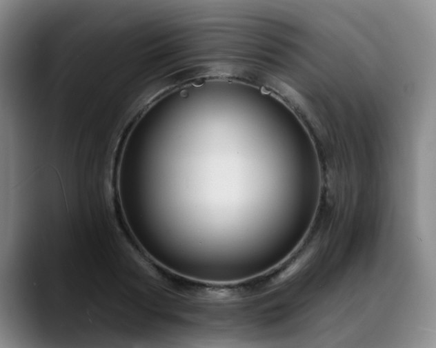 X0000088860794200706151735