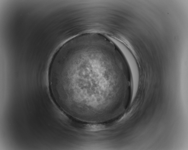 X0000088860795200706151735