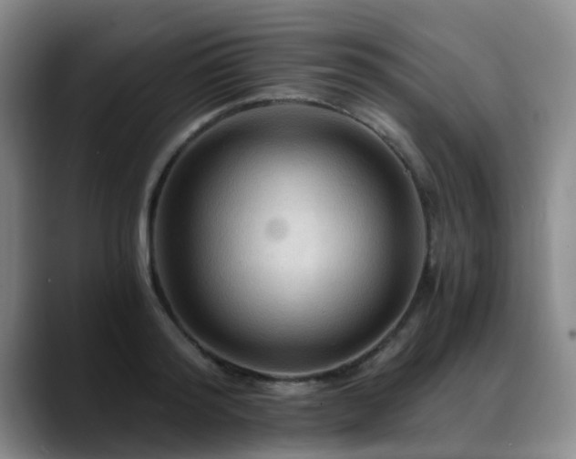 X0000088860796200706151735