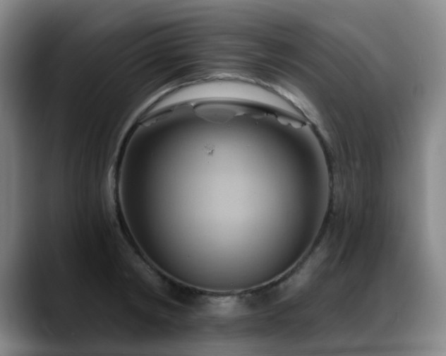 X0000088860798200706151735