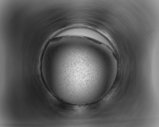X0000088860799200706151735
