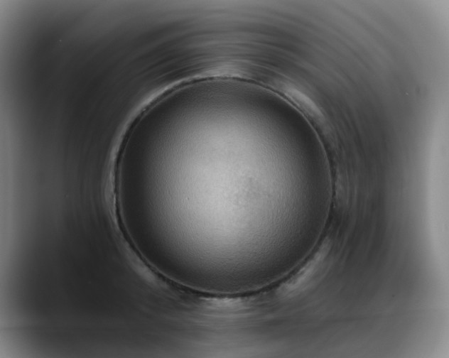 X0000088860800200706151735