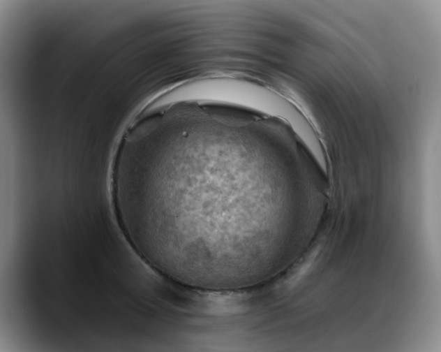X0000088860803200706151735