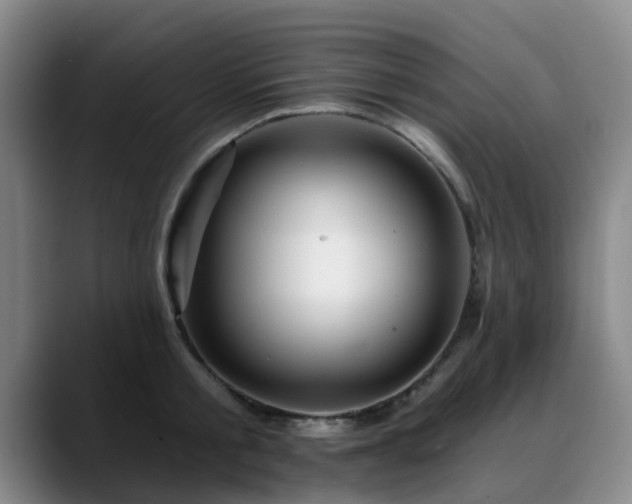 X0000088860805200706151734