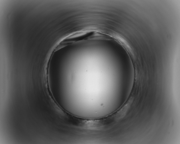 X0000088860808200706151734