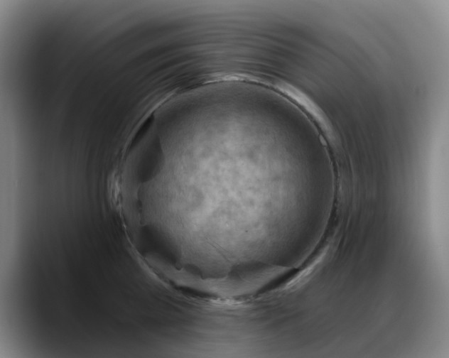 X0000088860809200706151734