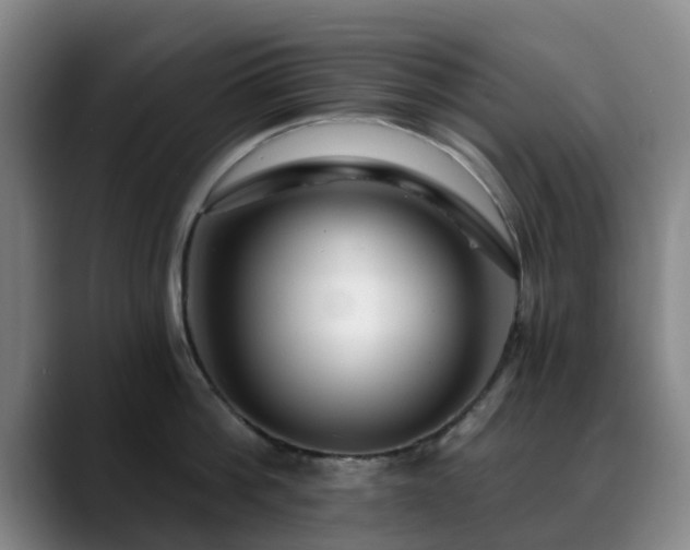 X0000088860812200706151734