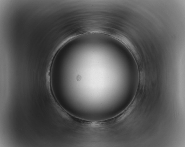 X0000088860814200706151734