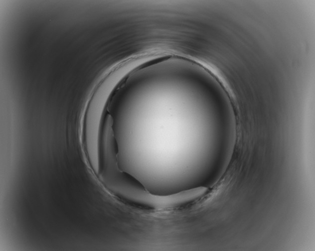 X0000088860815200706151734