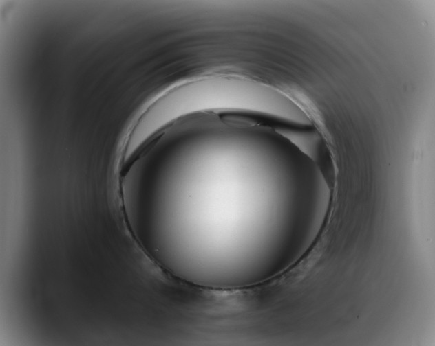 X0000088860816200706151734