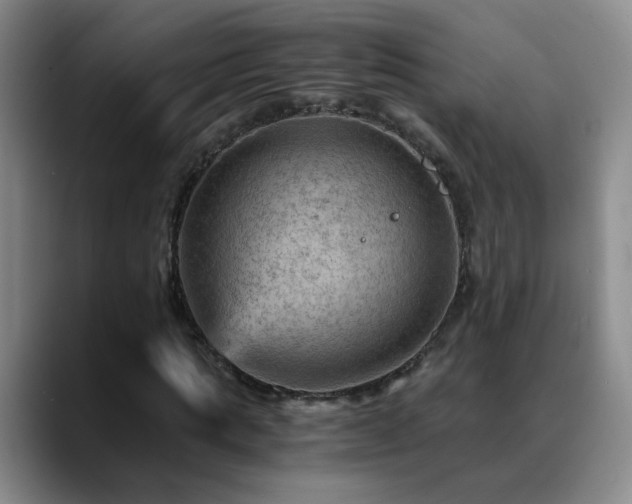X0000088860821200706151734