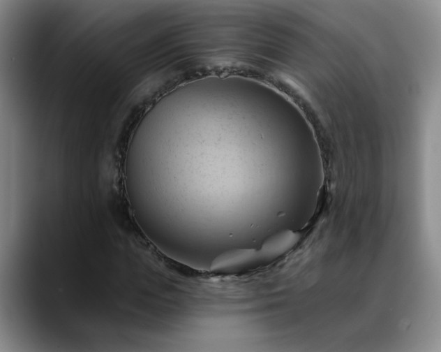 X0000088860823200706151734